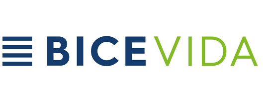Bice vida