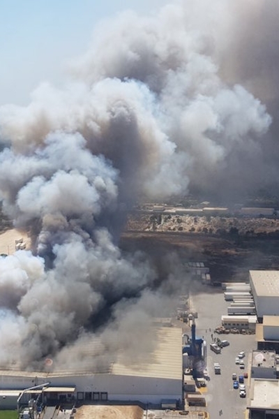 Medium 0daf099abd96c8ce2365692bf812ea03 xl